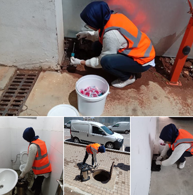 Vis ma vie, nouvel épisode! 🐀 🦟