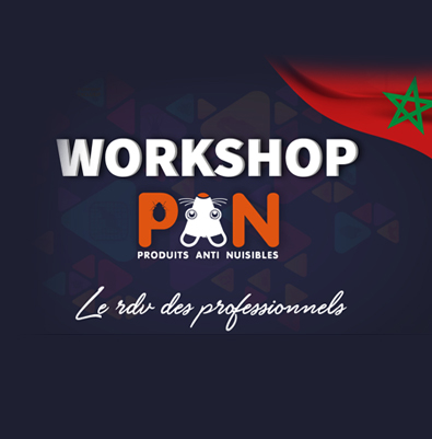 BEST OF WORKSHOP PAN  2023 (5ème édition)