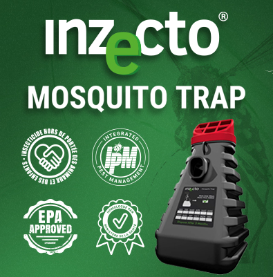 Préparez votre stratégie IPM*