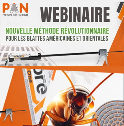 Nouvelle méthode révolutionnaire pour les blattes américaines et orientales Webinaire PAN Maroc