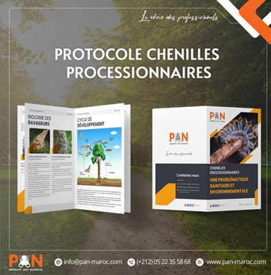 PROTOCOLE CHENILLES PROCESSIONNAIRES