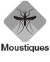 Moustiques