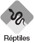 Réptiles