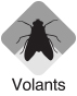Volants