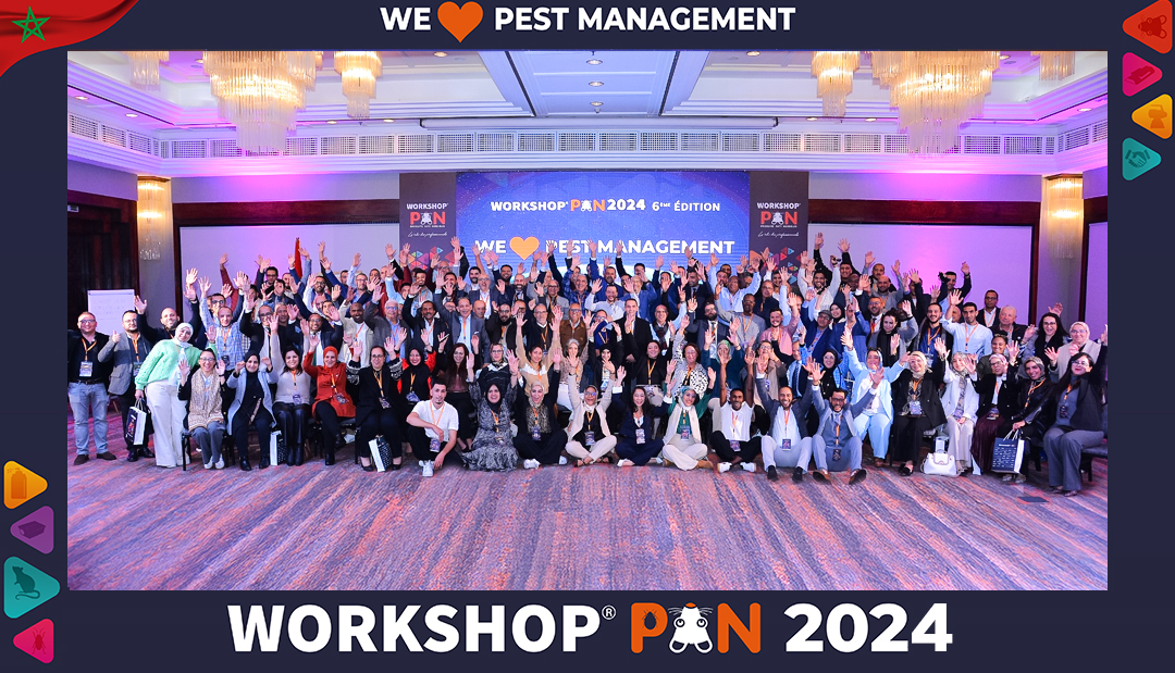 WORKSHOP PAN 2024