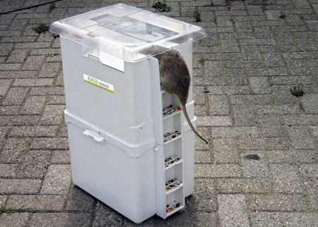 EKOMILLE - Solution non-toxique de capture en continu des rongeurs