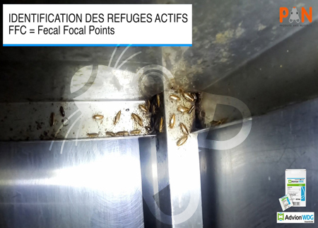ADVION DUO GAGNANT – Traitement Cafards restaurant