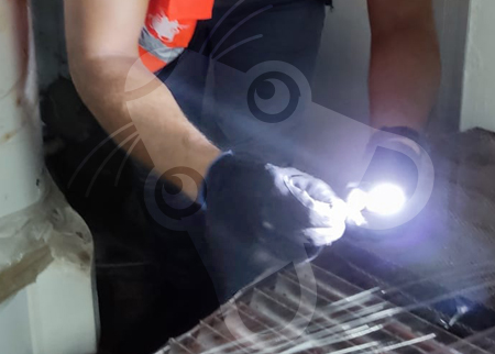 Accompagnement client : diagnostique / inspection