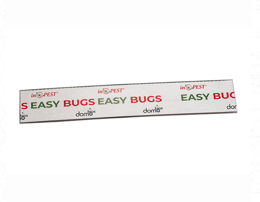 EASY BUGS